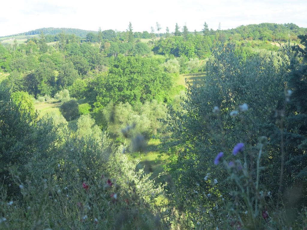 Da Tilli Alla Fornace - Agriturismo Montaione Zewnętrze zdjęcie